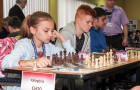 22-msr-2017-2-den.jpg